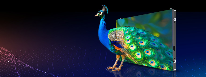 LED顯示屏,LED顯示屏廠(chǎng)家,LED照明廠(chǎng)家,照明解決方案,顯示屏解決方案