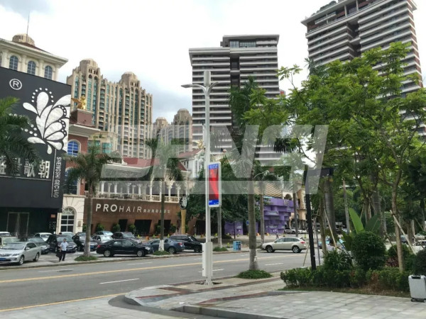 東莞智慧路燈項(xiàng)目